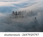 Mist flows through the forests surrounding Portland, Oregon. This scenic Pacific Northwest region is known for its vast forests and rugged Cascade mountains.