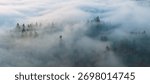 Mist flows through the forests surrounding Portland, Oregon. This scenic Pacific Northwest region is known for its vast forests and rugged Cascade mountains.