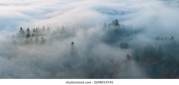 Mist flows through the forests surrounding Portland, Oregon. This scenic Pacific Northwest region is known for its vast forests and rugged Cascade mountains.