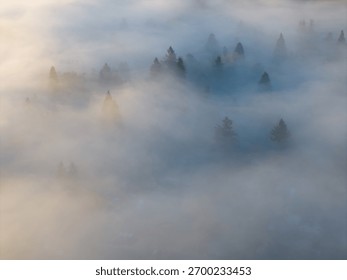 Mist flows through the forests surrounding Portland, Oregon. This scenic Pacific Northwest region is known for its vast forests and rugged Cascade mountains.
