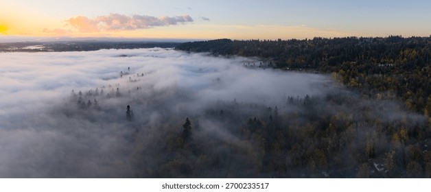 Mist flows through the forests surrounding Portland, Oregon. This scenic Pacific Northwest region is known for its vast forests and rugged Cascade mountains.
