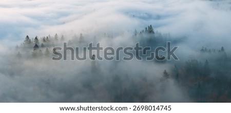 Mist flows through the forests surrounding Portland, Oregon. This scenic Pacific Northwest region is known for its vast forests and rugged Cascade mountains.