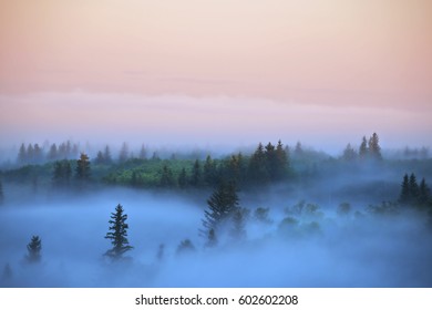 Mist and fog rising above woodland at dusk