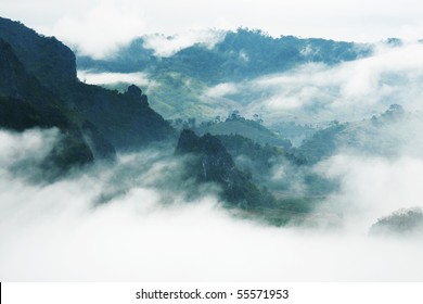 Mist And Mountain