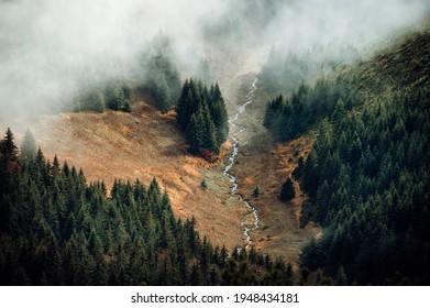 Mist over autumn Carpathian mountains. Nature before winter, small river in the valley, silhouette of coniferous trees - Powered by Shutterstock