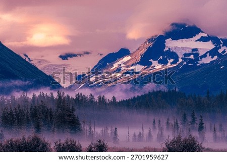 Mist rises from the forest floor in Chugach National Forest as the sun illuminates the snow-capped peaks.