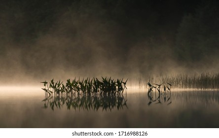 Mist Rising From A Northwoods Lake