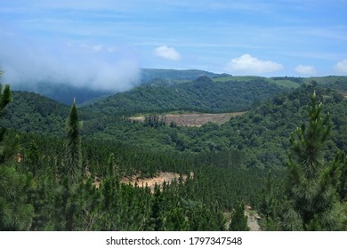 MIST ROLLING INTO VALLEY BETWEEN HILLS
