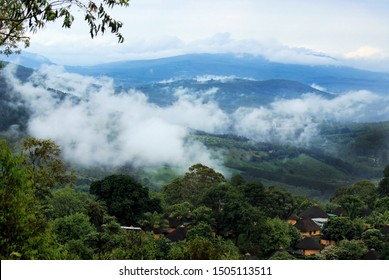 Mist In The Valley In Magoebaskloof, South Africa