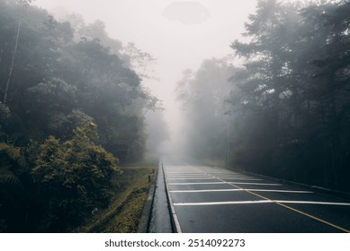 A mist-covered road leads into a dense foggy forest, surrounded by lush trees. The wet asphalt and moody atmosphere create a sense of quiet mystery and adventure. - Powered by Shutterstock