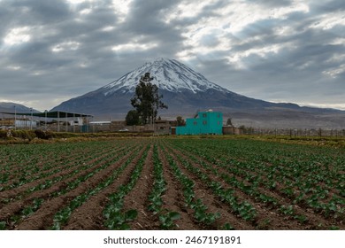 Misti volcano with snow in summer with agriculture field in the outskirts of Arequipa, Peru.
