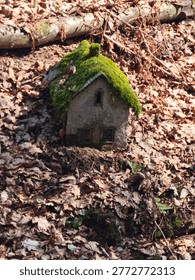 Mistic forest daylight tiny smurf hause