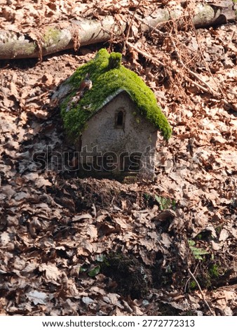 Mistic forest daylight tiny smurf hause