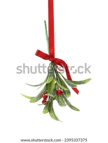 Mistletoe branch with bow on white background