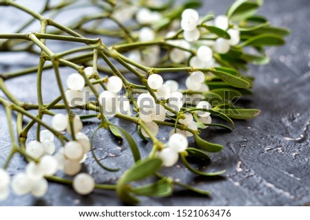 Mistletoe branch with green leaves and white berries on a gray textured background