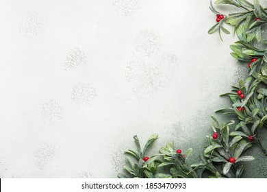 Mistletoe branches on light background