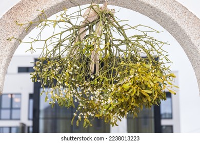 Mistletoe hangs from an archway as a lucky charm symbol