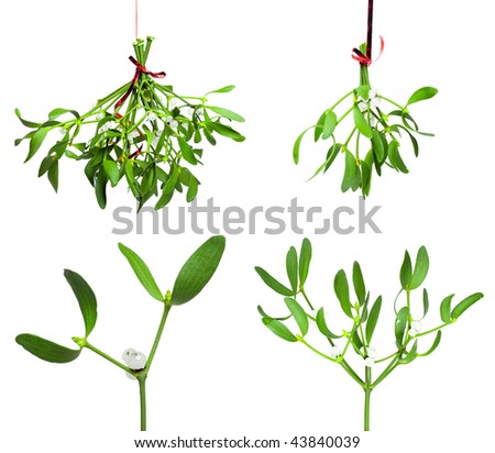 mistletoe set
