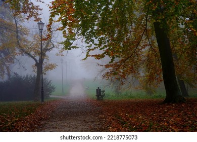 
Misty Autumn Morning In The City Park