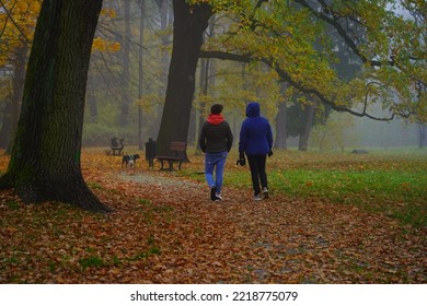 Misty Autumn Morning In The City Park.  Walk Through The Park In The Fog