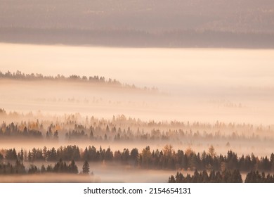 Misty Autumn Morning In Finnish Lapland Near Kuusamo, Northern Europe