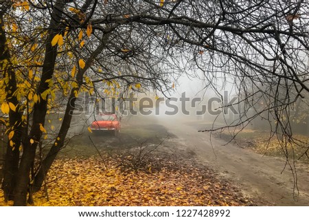 Misty autumn rural landscape with red retro car parked on roadside and almost bare tree with thick layer of fallen yellow leaves in the foreground. Road is disappearing in the fog.
