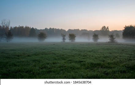 A misty autumnal morning on the outskirts of Kampinos National Park. Blurry silhouettes of the trees and bushes are barely visible due to thick fog which has started to disperse as the sun rises. - Shutterstock ID 1845638704