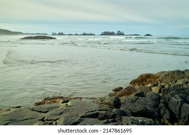 Misty Chesterman Beach Shore. Chesterman Beach on the west side of Vancouver Island in Tofino.

                               