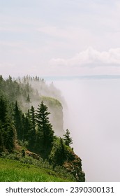 Misty Cliffside with Forest, Cape Split Nova Scotia
