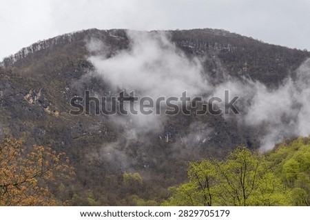 Misty clouds drift over a mountain peak. Brown slopes mix with green and yellow trees. Late autumn forest creates peaceful, serene scenery. Ideal for nature photography or travel blogs