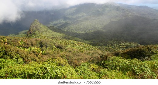 Misty clouds sweep over the rainforest in the mountains of El Yunque National Forest - Puerto Rico