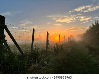 Misty countryside sunrise. Golden hour in the morning. - Powered by Shutterstock