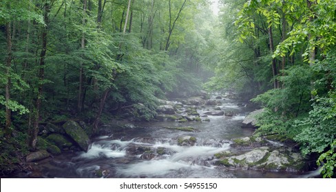 Misty creek in the forest - Powered by Shutterstock