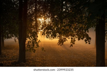 Misty dawn in the early morning. Morning fog in nature. Fog in early morning. Sunrise with fog - Powered by Shutterstock