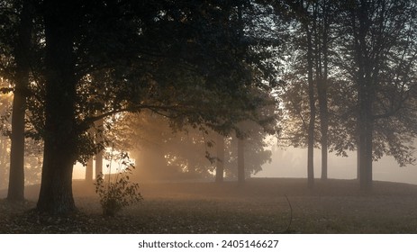 Misty dawn in the early morning. Morning fog in nature. Fog in early morning. Sunrise with fog - Powered by Shutterstock