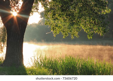 Misty dawn at the lake - Shutterstock ID 73606720