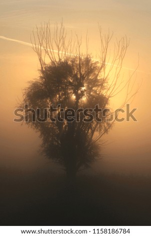 Similar – Wahner Heide ruhig Natur