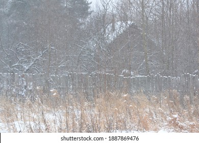 Misty depressing winter landscape in an overcast day, Silhouettes of bare trees and bushes in a snow-covered field and houses behind them - Powered by Shutterstock