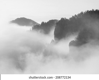 Misty dreamy landscape. Deep misty valley in autumn Saxony Switzerland park full of heavy clouds of dense fog. Sandstone peaks increased from foggy background.  Black and white picture.  - Powered by Shutterstock