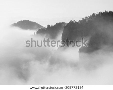 Misty dreamy landscape. Deep misty valley in autumn Saxony Switzerland park full of heavy clouds of dense fog. Sandstone peaks increased from foggy background.  Black and white picture. 