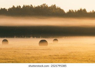 Misty Field with Hay Bales at Sunrise - Powered by Shutterstock