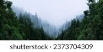 Misty foggy landscape with fir forest, abstract natural background. mystical atmosphere, beautiful nature image. Trees in fog. travel trip, journey, hiking, adventure concept. banner