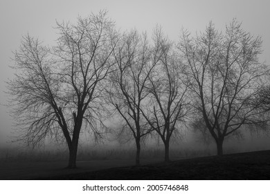Misty and foggy morning Ajax Ontario