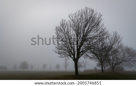 Misty and foggy morning Ajax Ontario