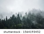 Misty foggy mountain landscape with fir forest and copyspace in vintage retro hipster style
