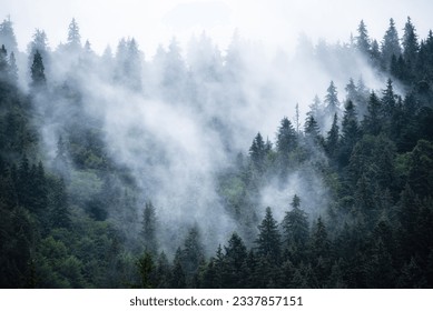 Misty foggy mountain landscape with fir forest and copyspace in vintage retro hipster style - Powered by Shutterstock