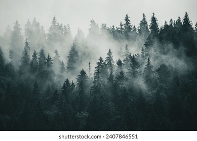 Misty foggy mountain landscape with fir forest and copyspace in vintage retro hipster style - Powered by Shutterstock