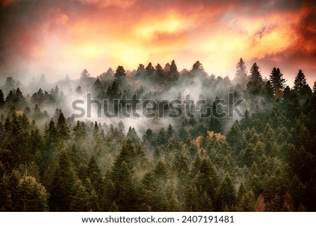 Misty foggy mountain landscape with fir forest, amazing sunset sky and copyspace in vintage retro hipster style