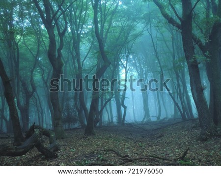 Similar – Image, Stock Photo Forest in morning fog Fog