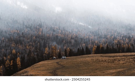 A misty forest with autumnal hues, rolling into an open grassy field. A lone cabin stands at the edge, with a winding path leading to it, embraced by serenity. - Powered by Shutterstock